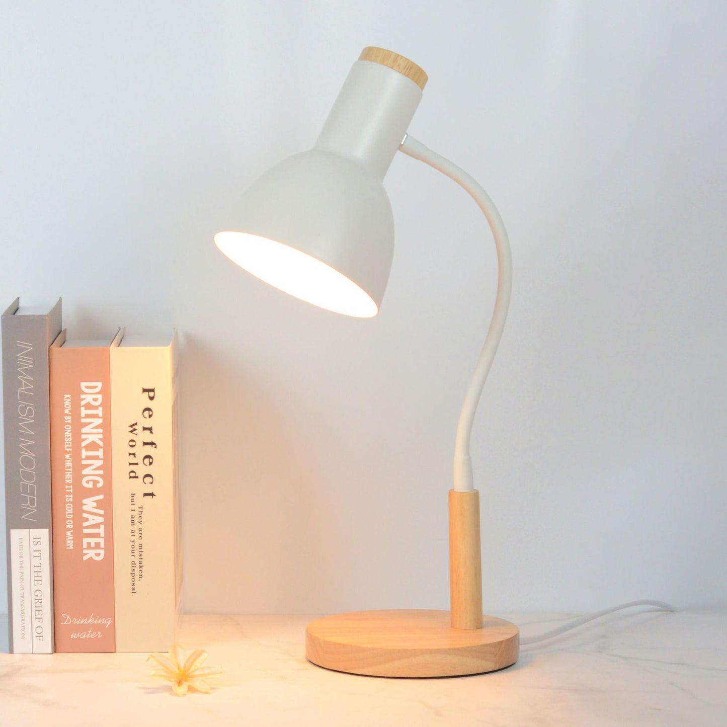 Contemporary Nordic Iron Round Shade Wooden Base 1-Light Desk Lamp for Home Office