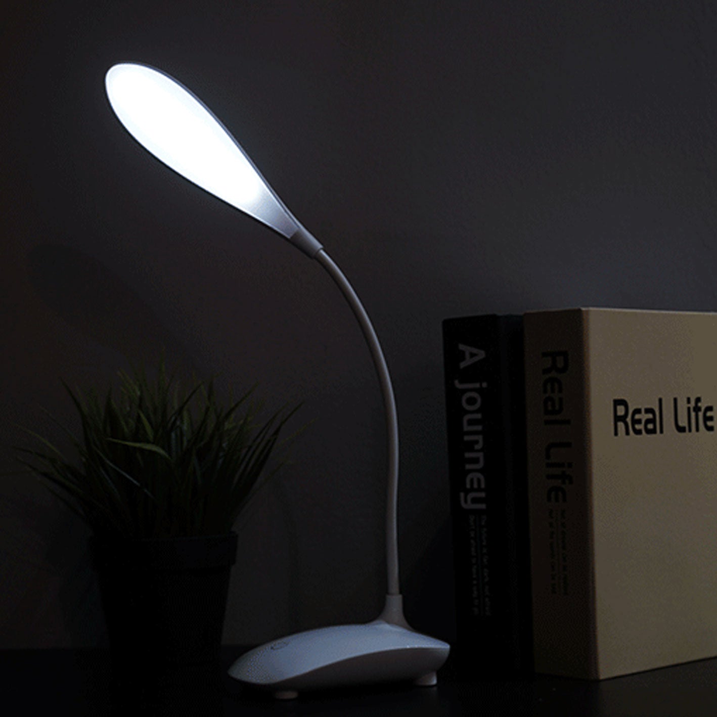 Creative Touch-Activated LED Desk Lamp, Foldable & Rotatable
