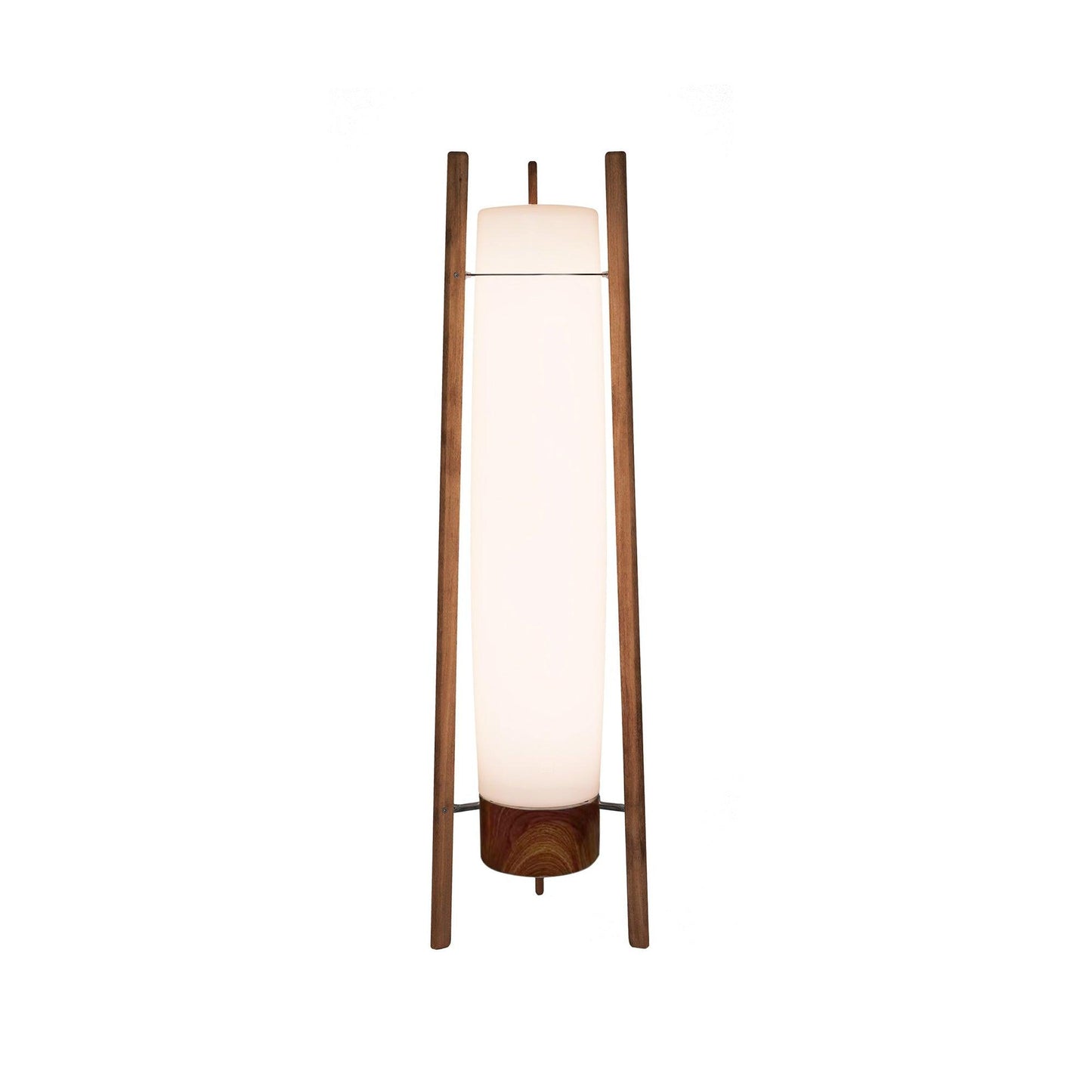 Side LED Floor Lamp with Walnut Finish and Warm Light
