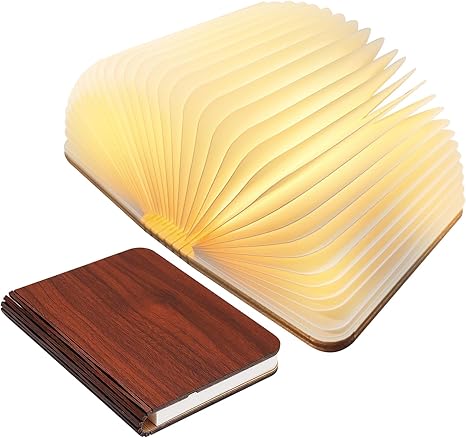 Frendorf Buch Lampe LED Book Light Dimmable Rechargeable