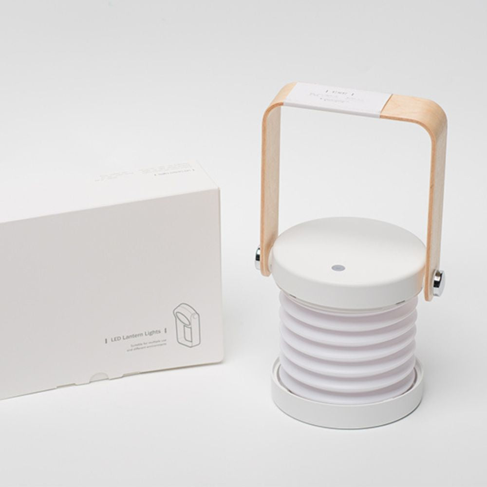 Innovative Portable Lamp | CarryGlow - Rechargeable LED Design