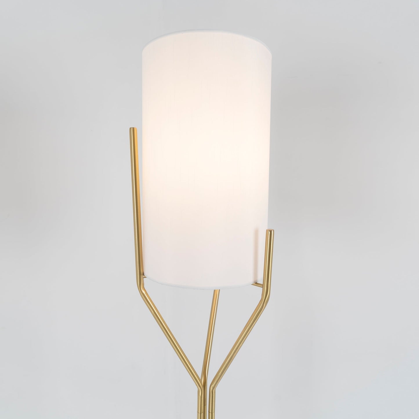 Arborescence Floor Lamp with LED, Adjustable Height, Brass Finishes