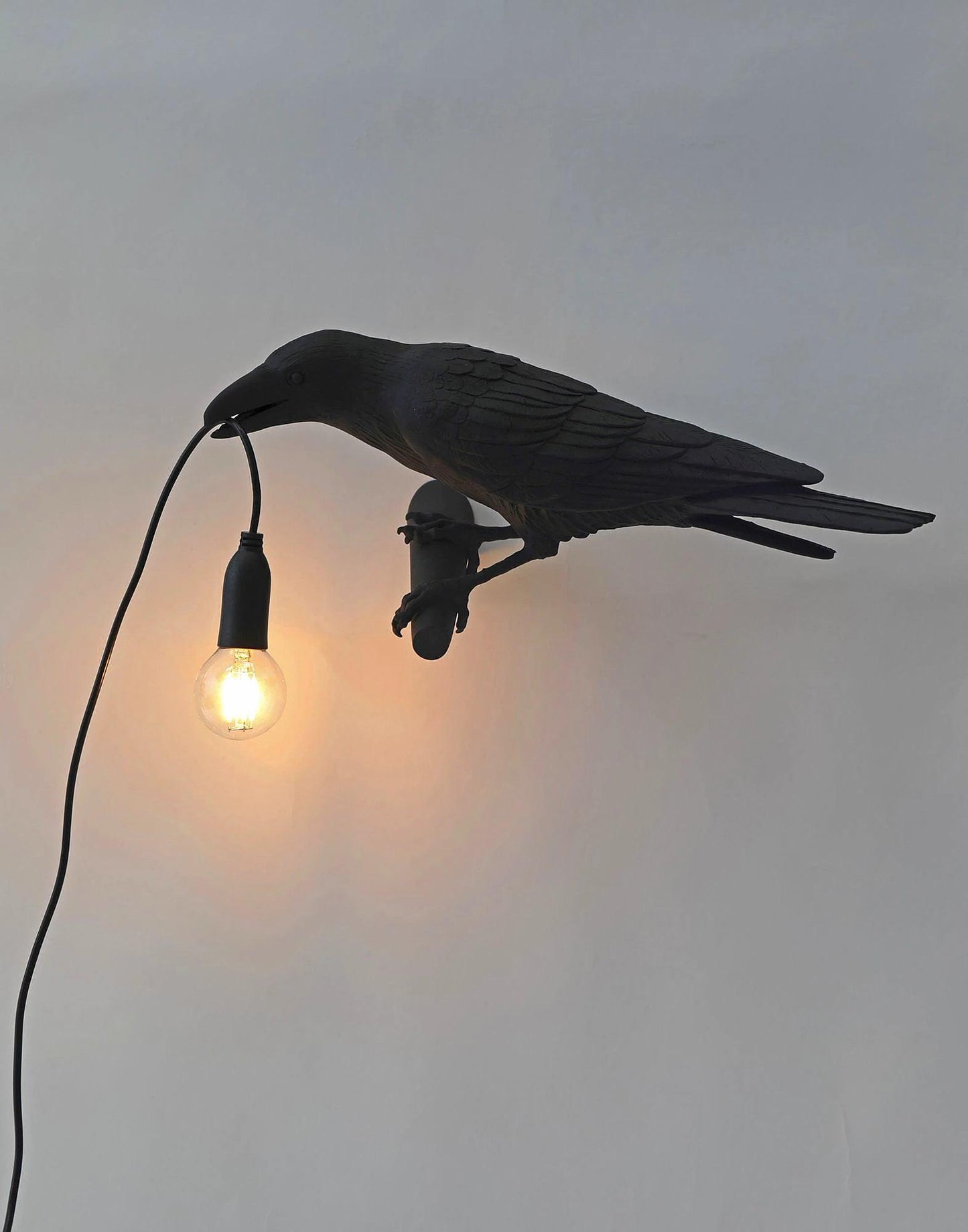 Bird Wall Light - LED Resin Ravens - Indoor Decor
