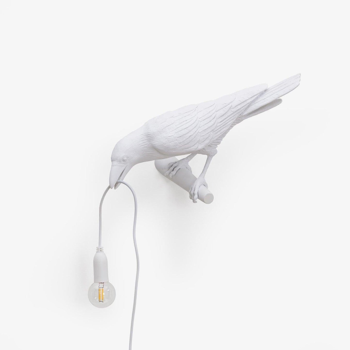 Bird Wall Light - LED Resin Ravens - Indoor Decor