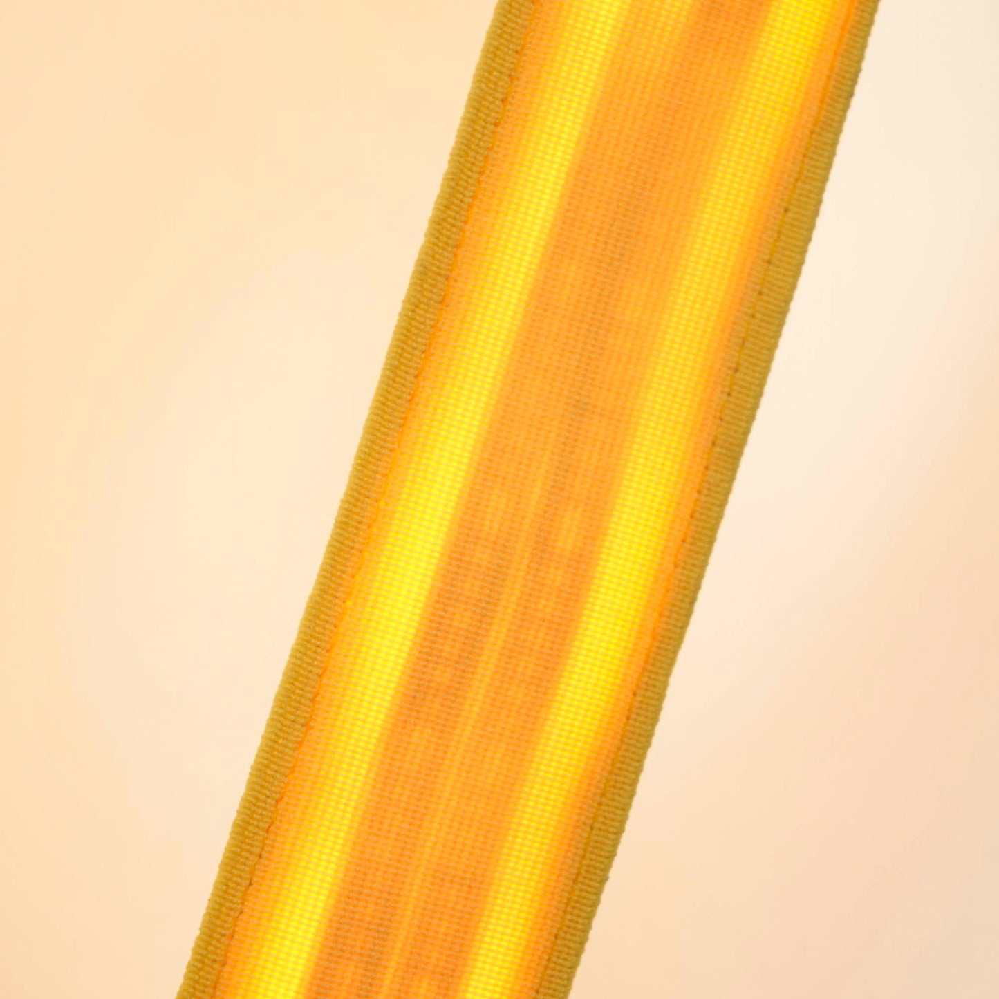 Elastica Arbitrary Floor Lamp with Adjustable LED Light