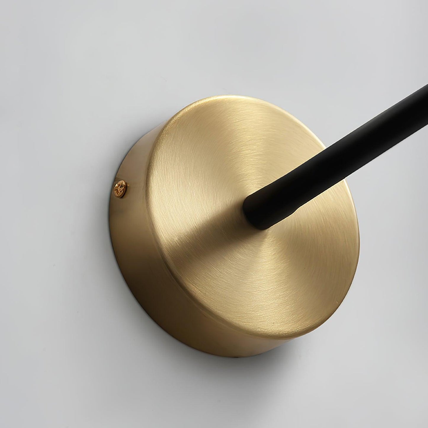 Flexi Hose Wall Light Sconce with Adjustable LED Design