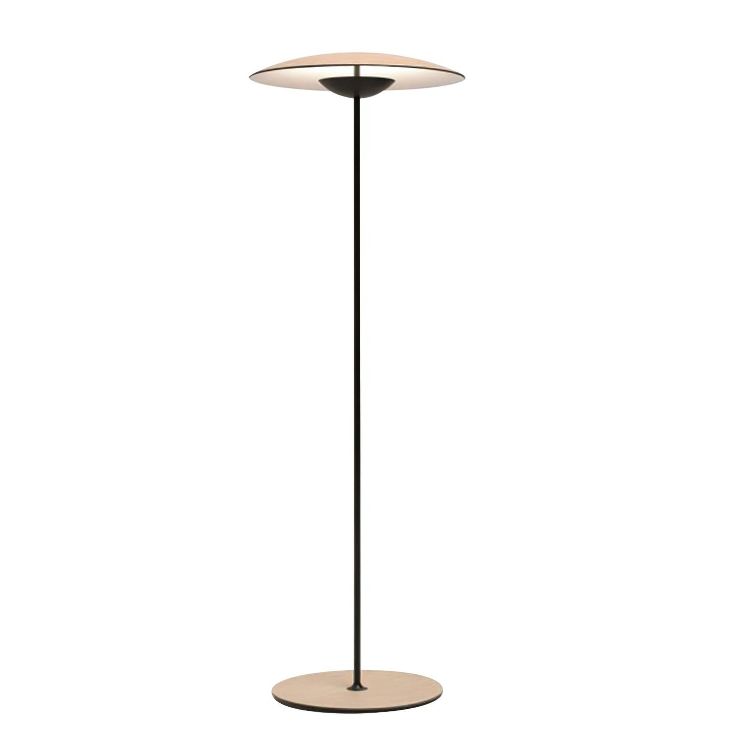 Innovative Directional Floor Lamp with Adjustable LED Light