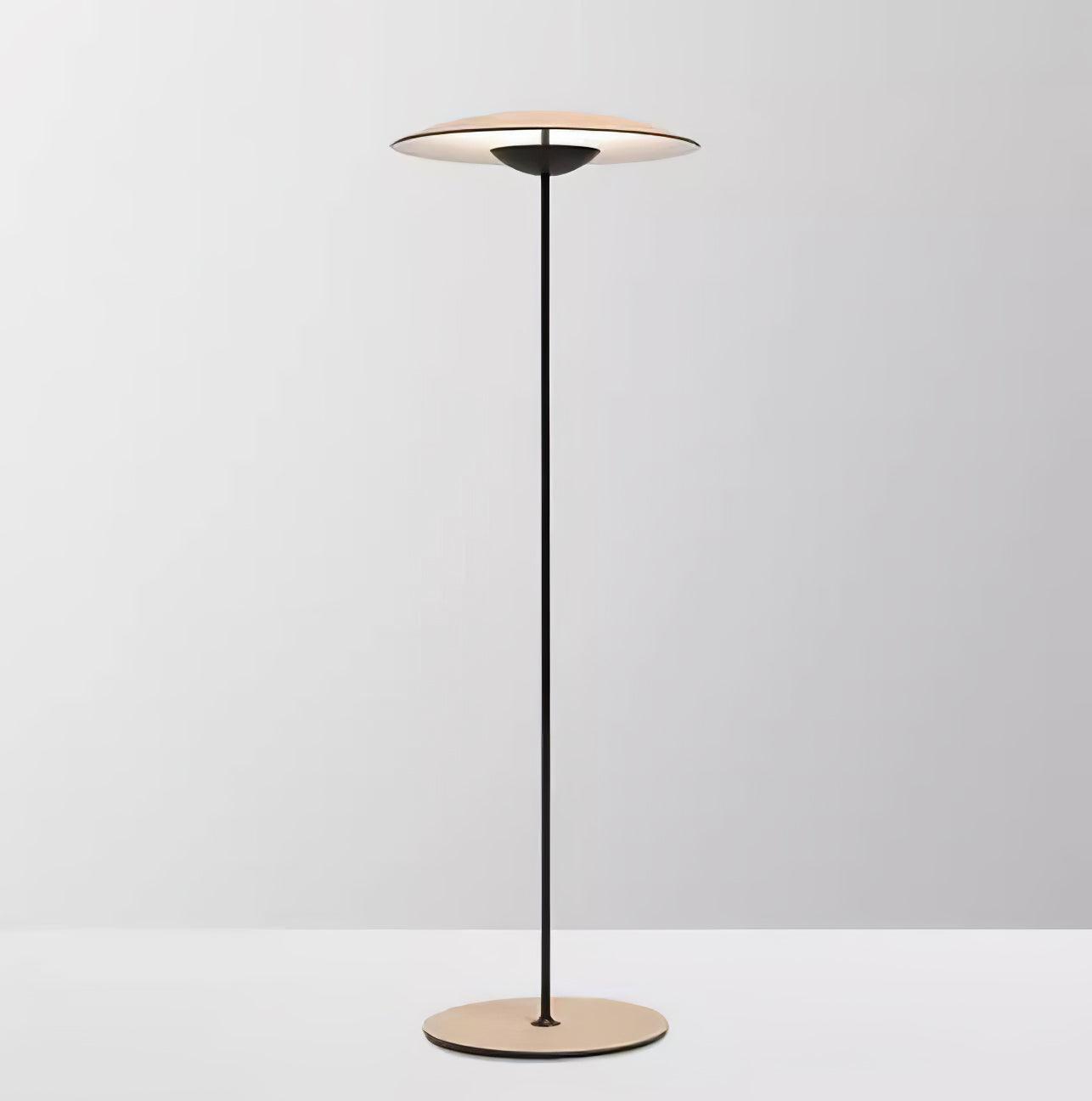 Innovative Directional Floor Lamp with Adjustable LED Light