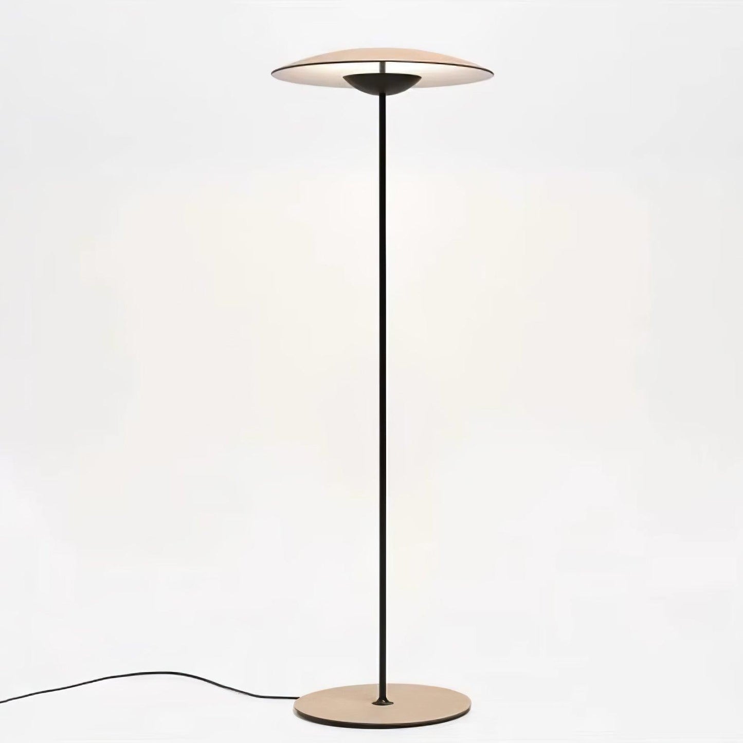Innovative Directional Floor Lamp with Adjustable LED Light