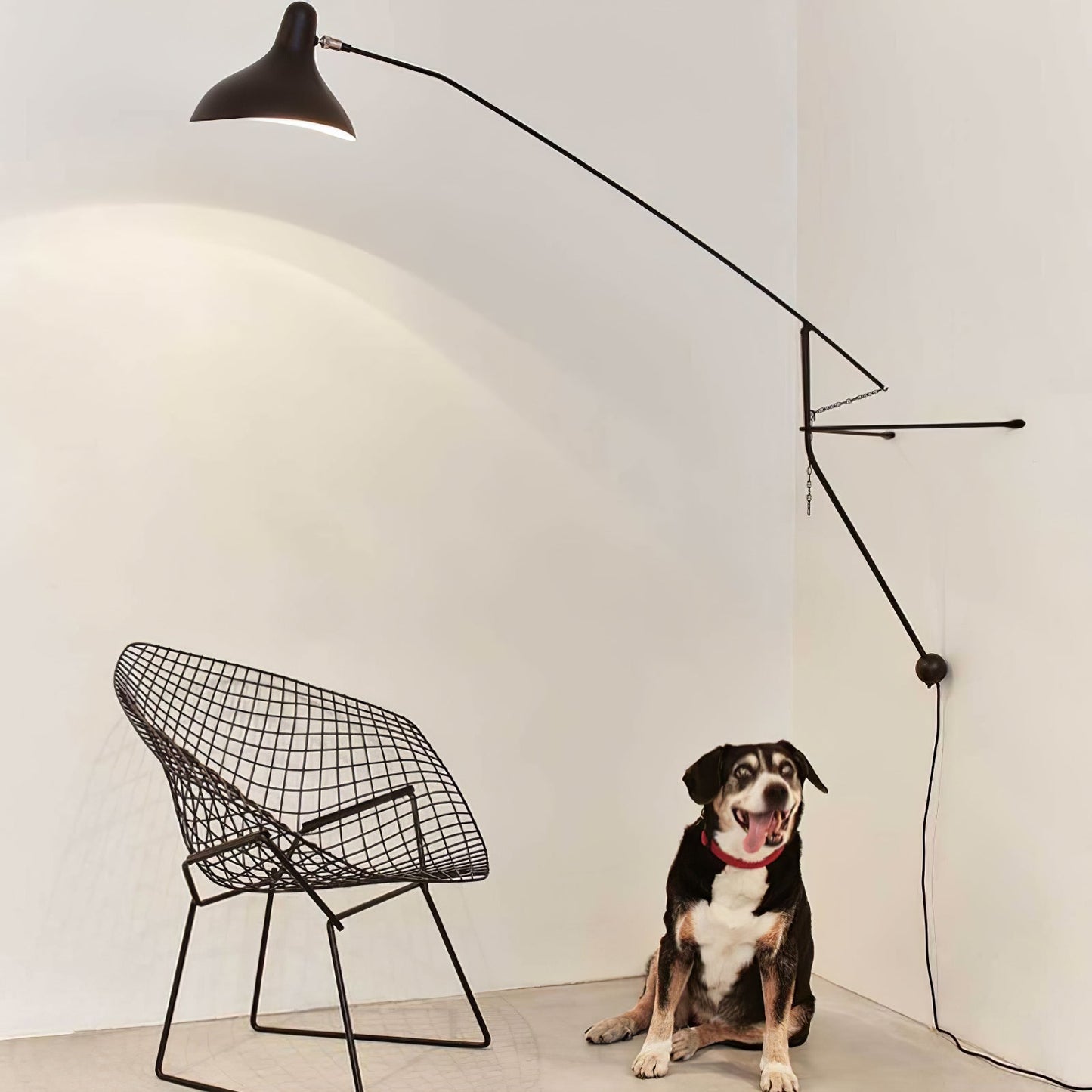 Mantis Arm Wall Lamp Black Metal LED Indoor Light
