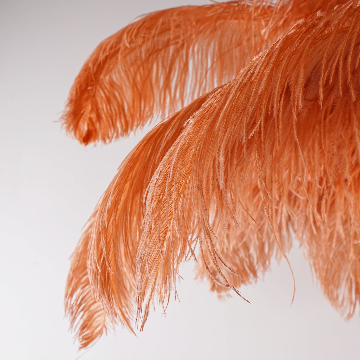 Ostrich Feather Brass Floor Lamp - Luxury Indoor Lighting