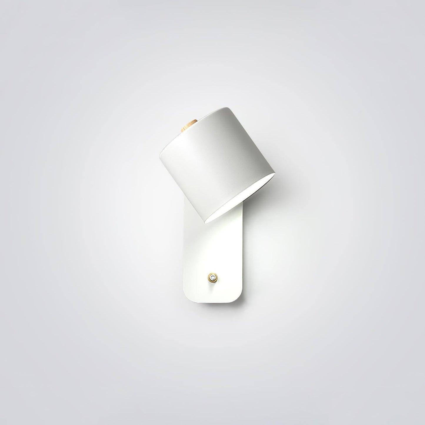 Rotatable Cylinder Wall Lamp LED Indoor Lighting Fixture