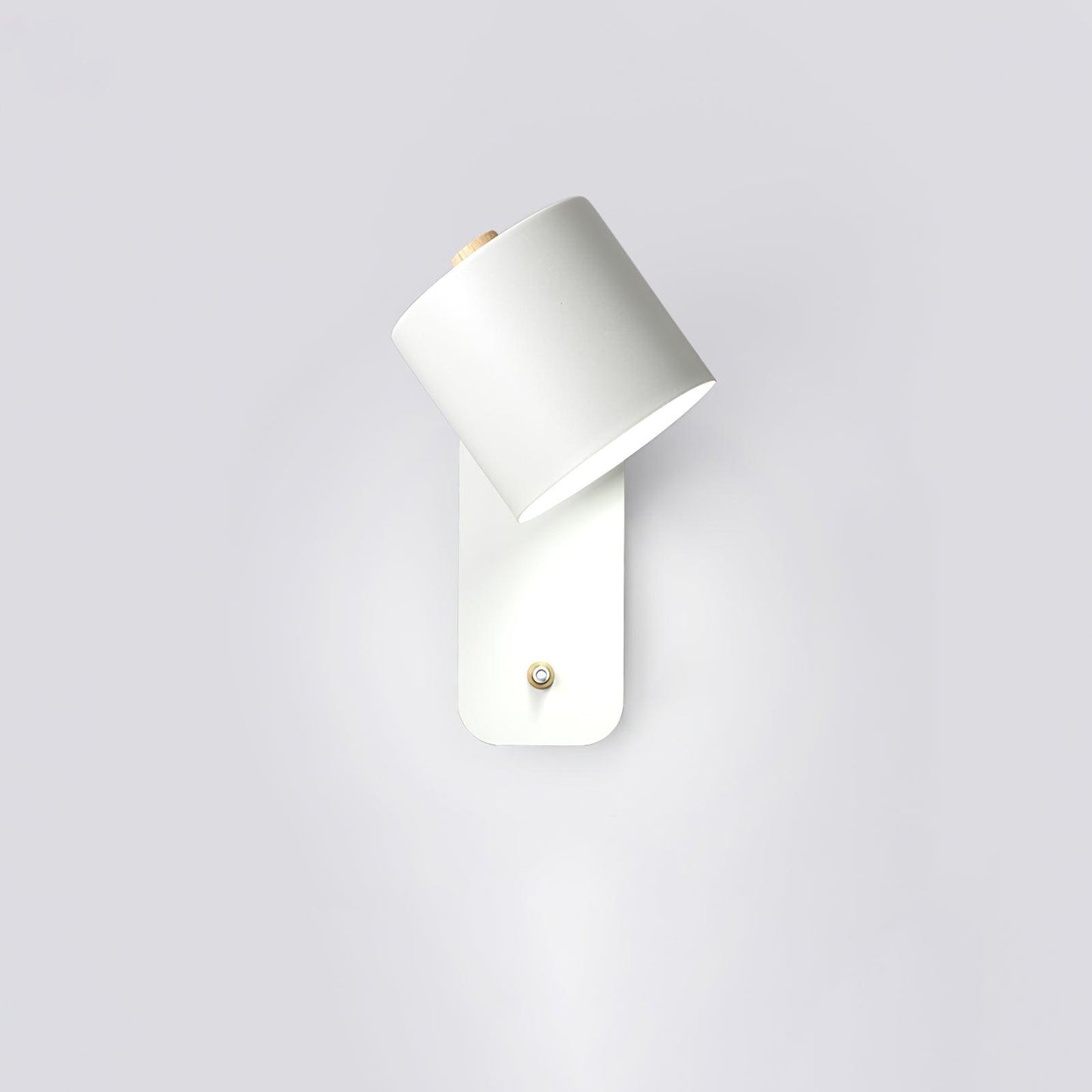 Rotatable Cylinder Wall Lamp LED Indoor Lighting Fixture