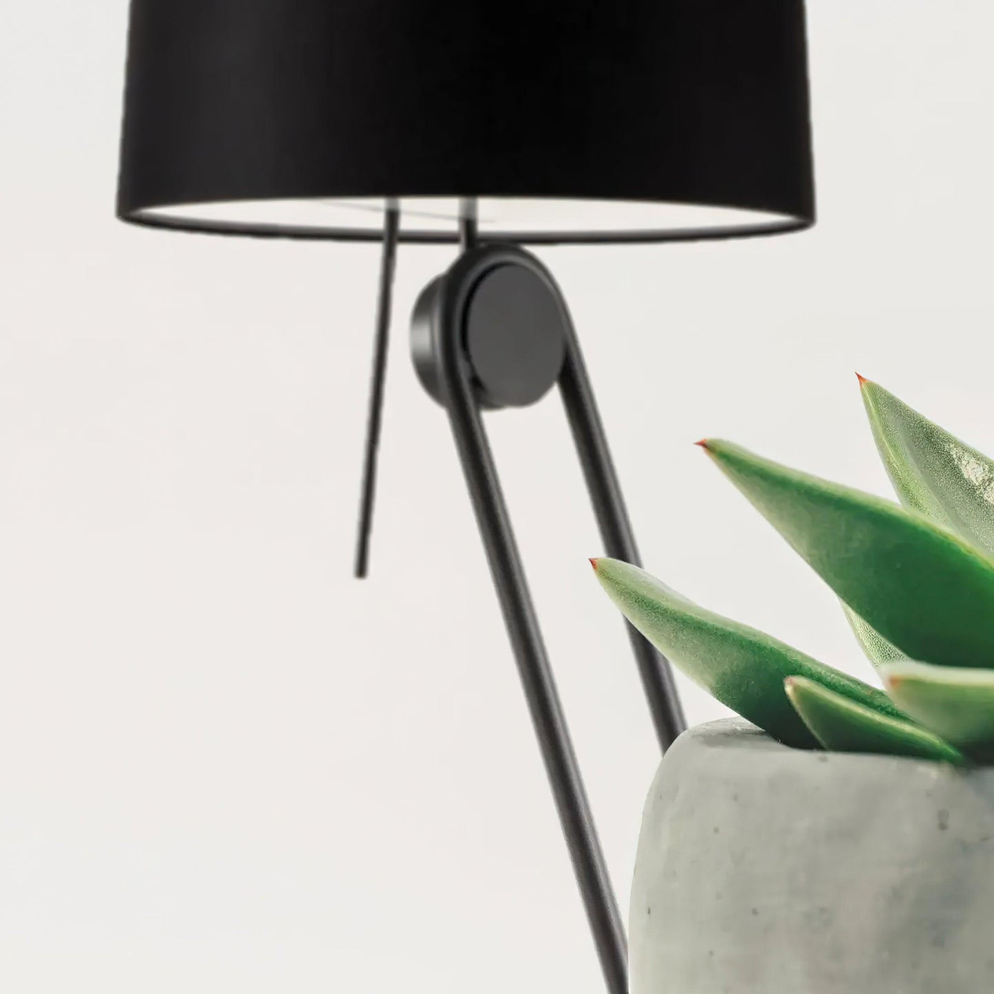 Sibaca Floor Lamp with Adjustable Two-Tone Fabric Shade