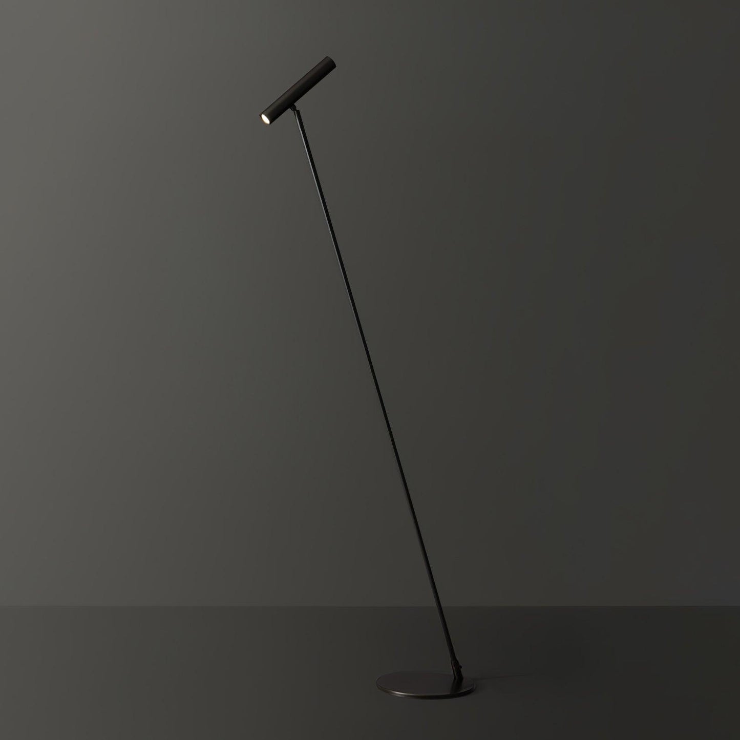 Tom LED Floor Lamp - Dimmable Adjustable Light - Indoor Use