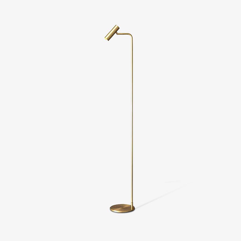Torris Floor Lamp with Adjustable LED Light and Brass Finish