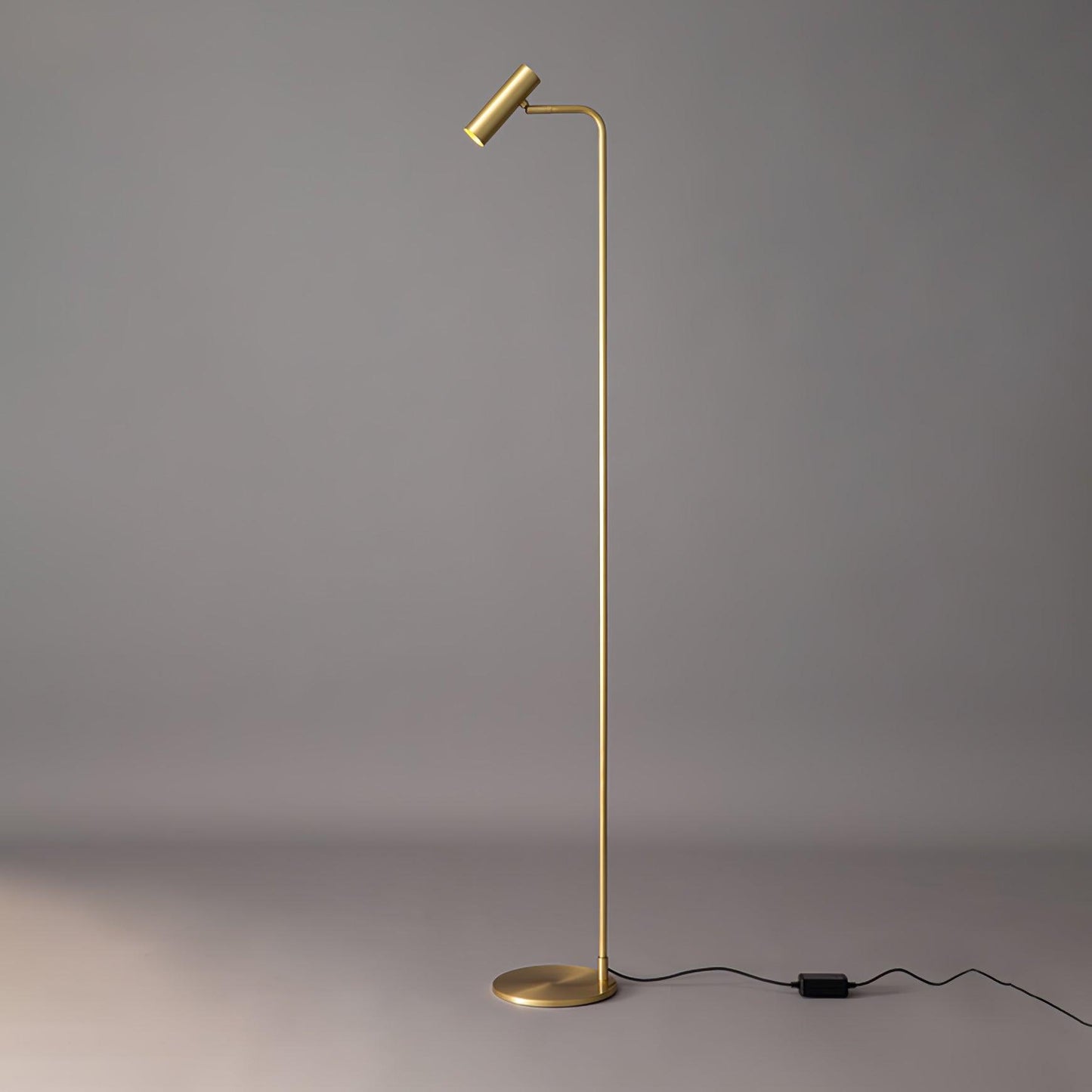 Torris Floor Lamp with Adjustable LED Light and Brass Finish
