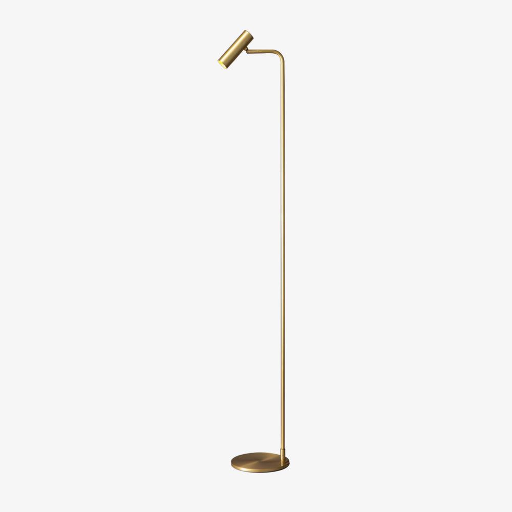 Torris Floor Lamp with Adjustable LED Light and Brass Finish
