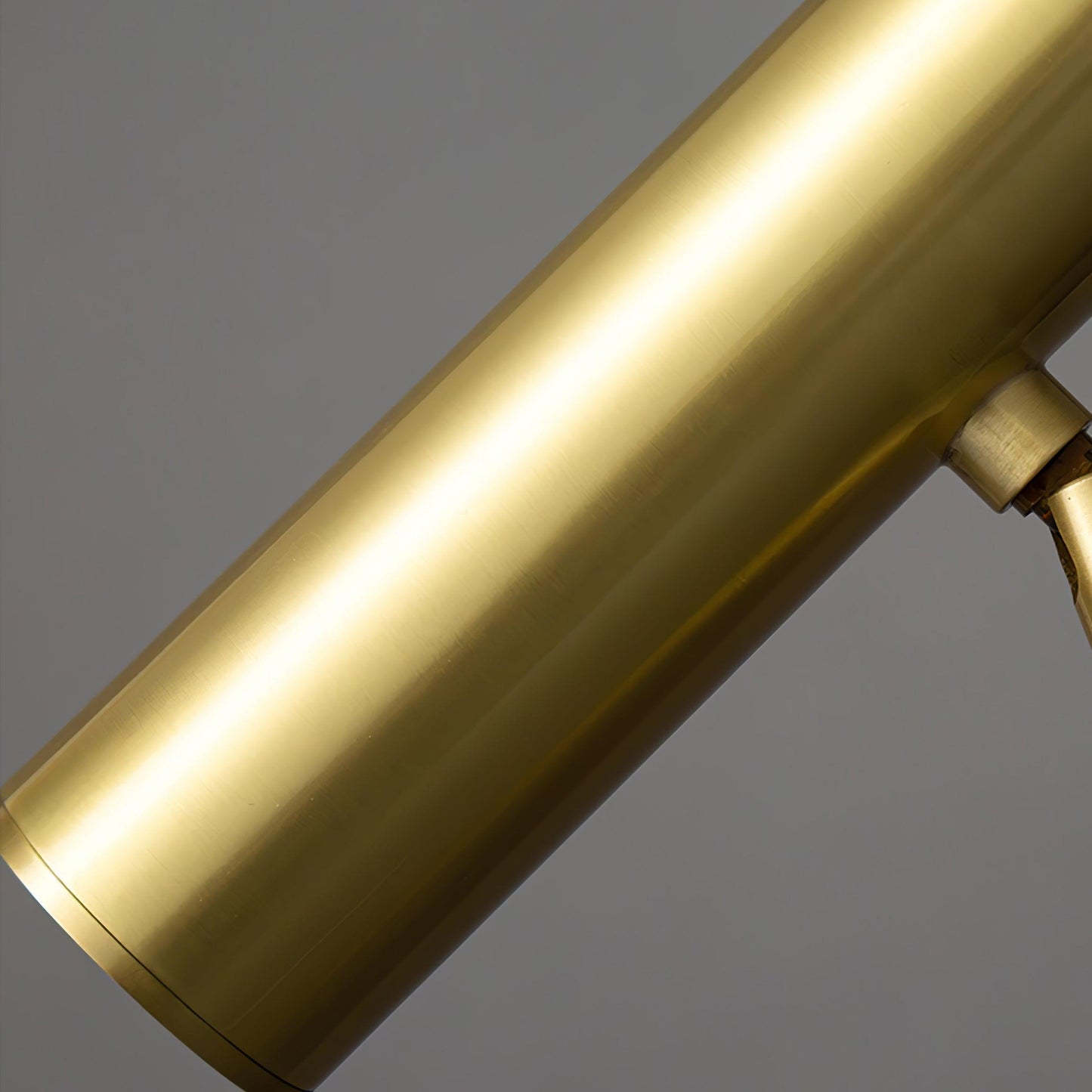 Torris Floor Lamp with Adjustable LED Light and Brass Finish