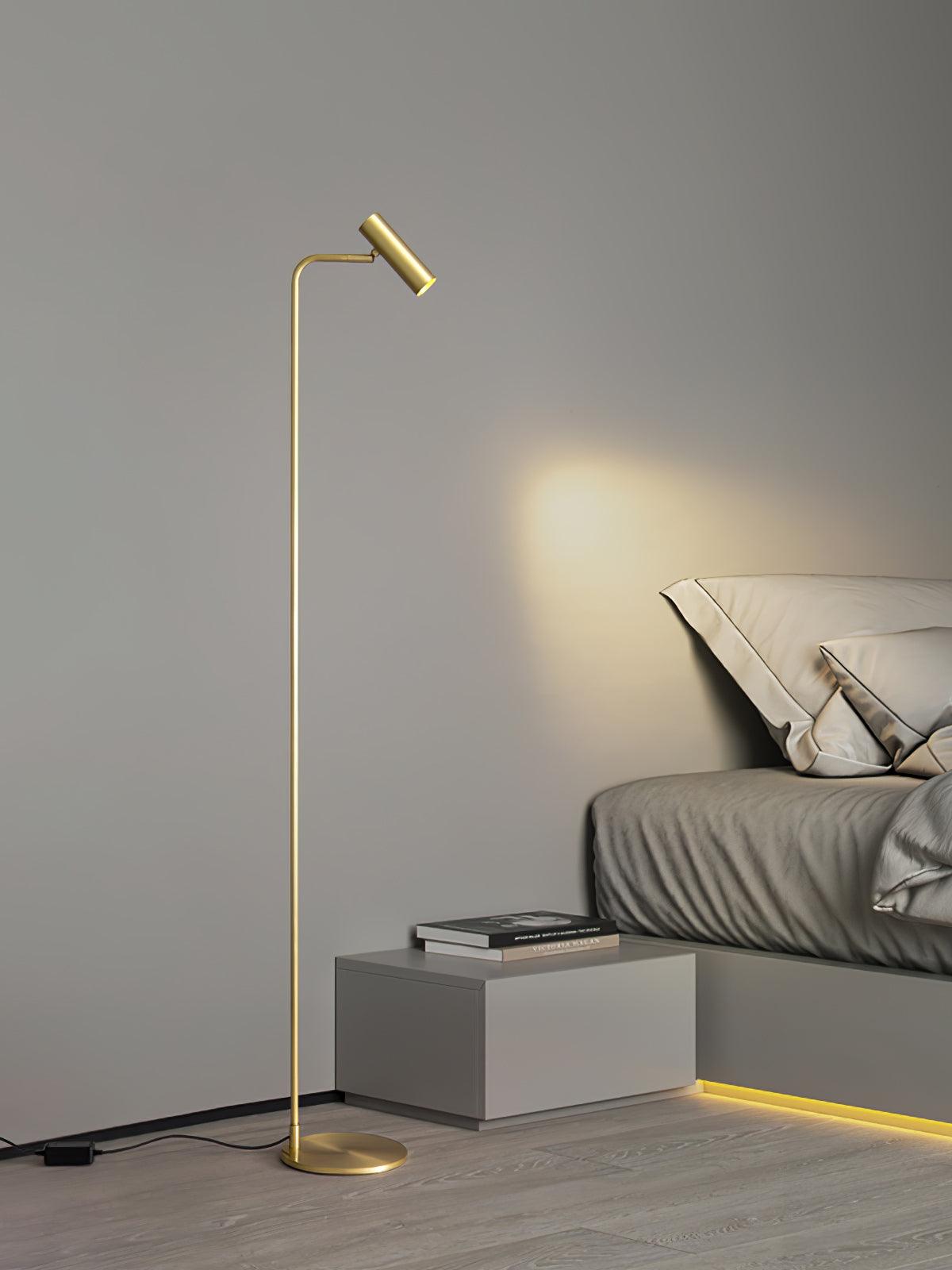 Torris Floor Lamp with Adjustable LED Light and Brass Finish