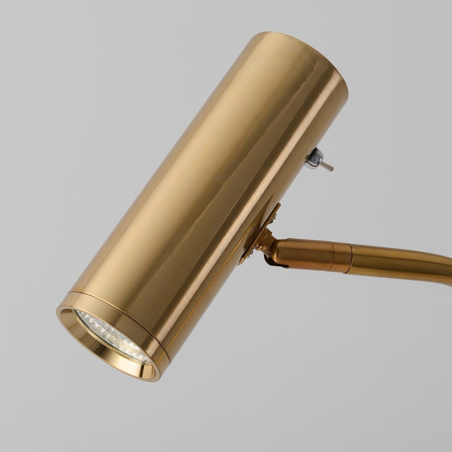 Torris Floor Lamp with Adjustable LED Light and Brass Finish