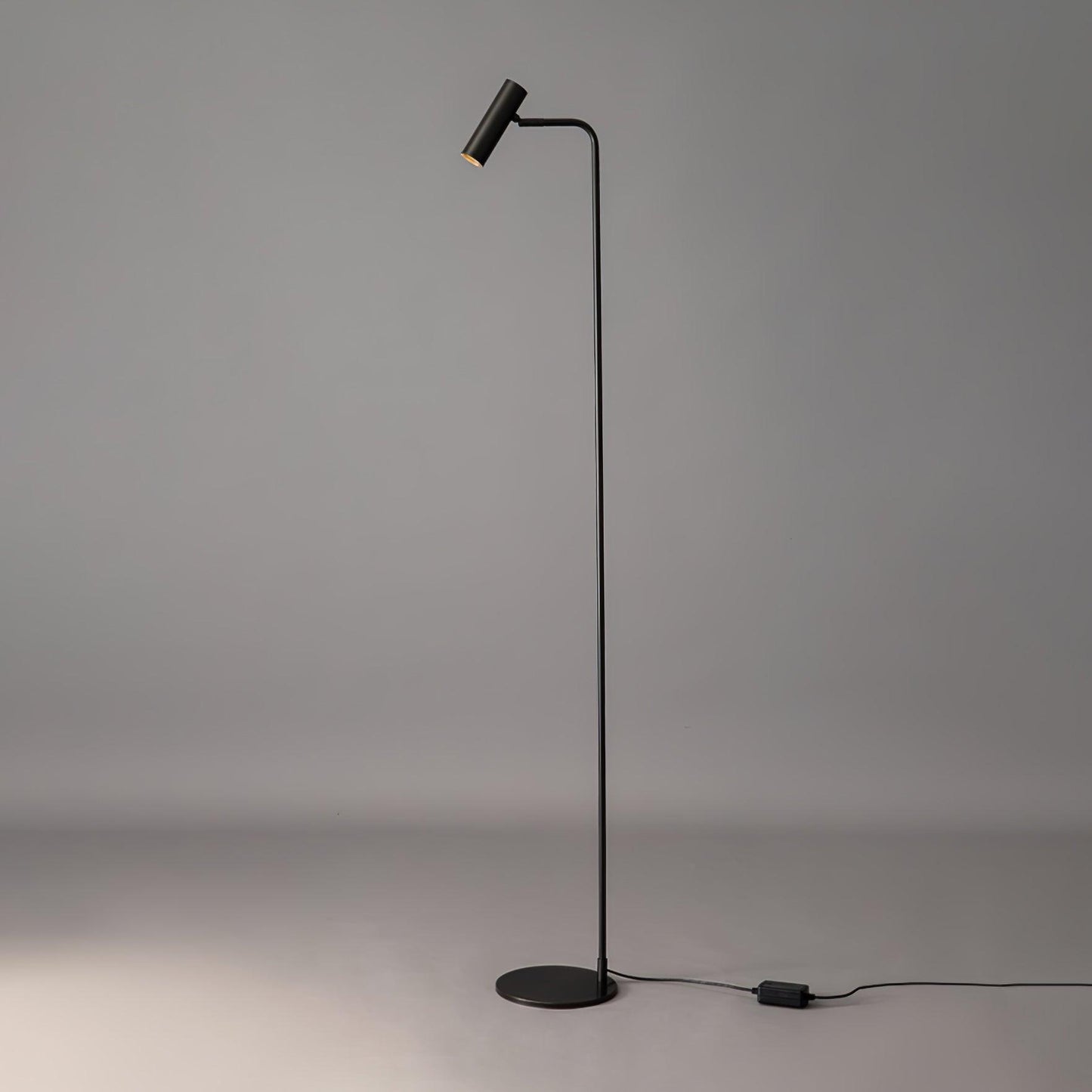 Torris Floor Lamp with Adjustable LED Light and Brass Finish