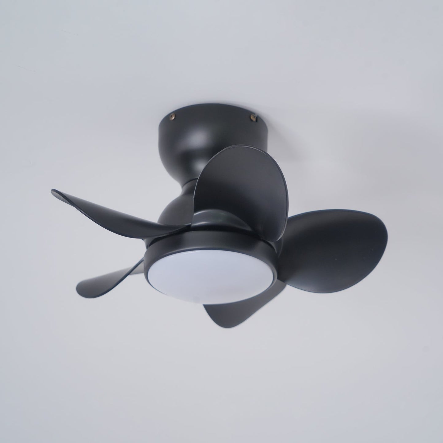 Trailblazer 18" Ceiling Fan Light with LED and Remote Control