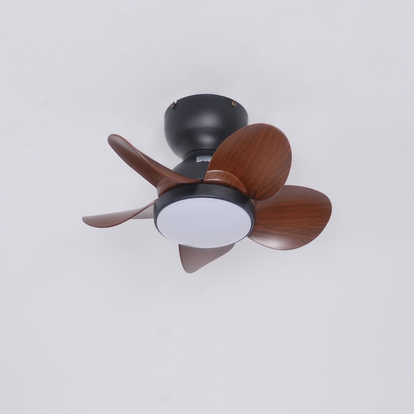 Trailblazer 18" Ceiling Fan Light with LED and Remote Control