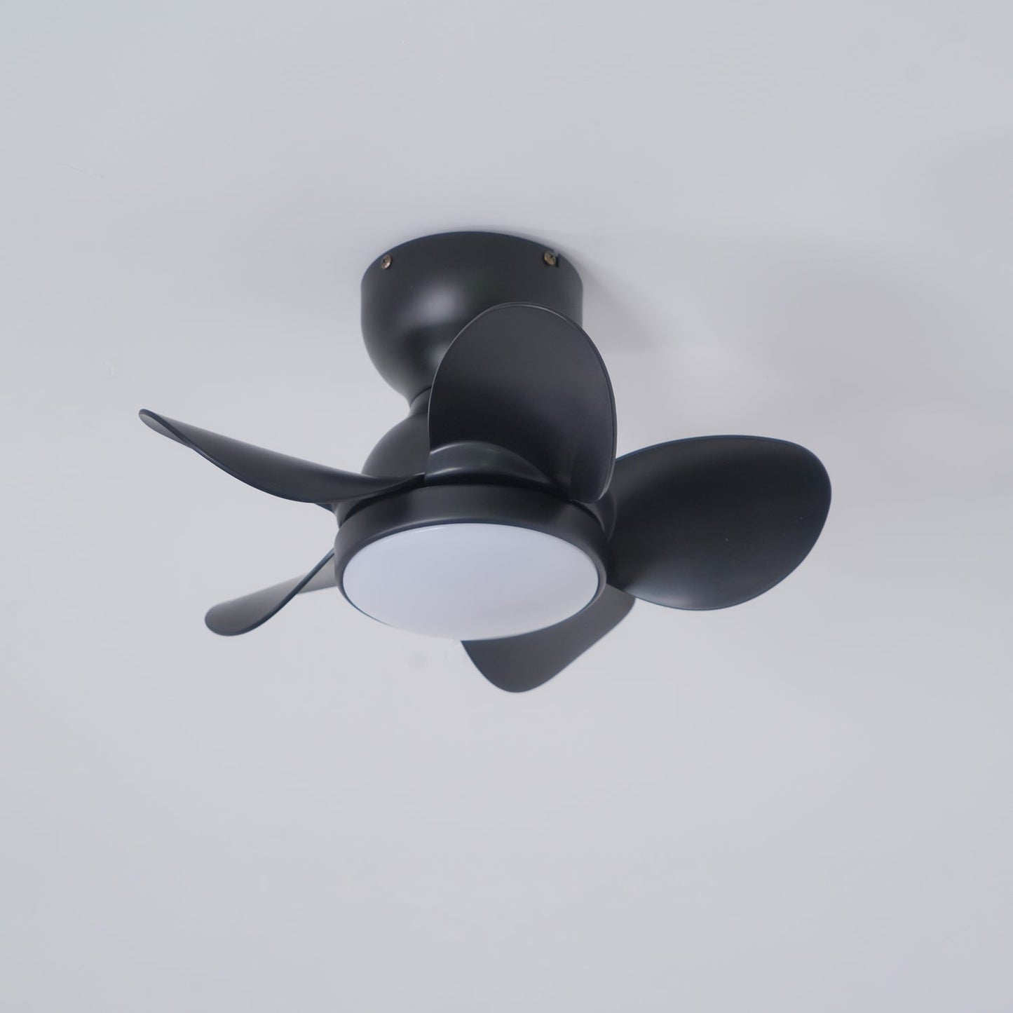 Trailblazer 18" Ceiling Fan Light with LED and Remote Control