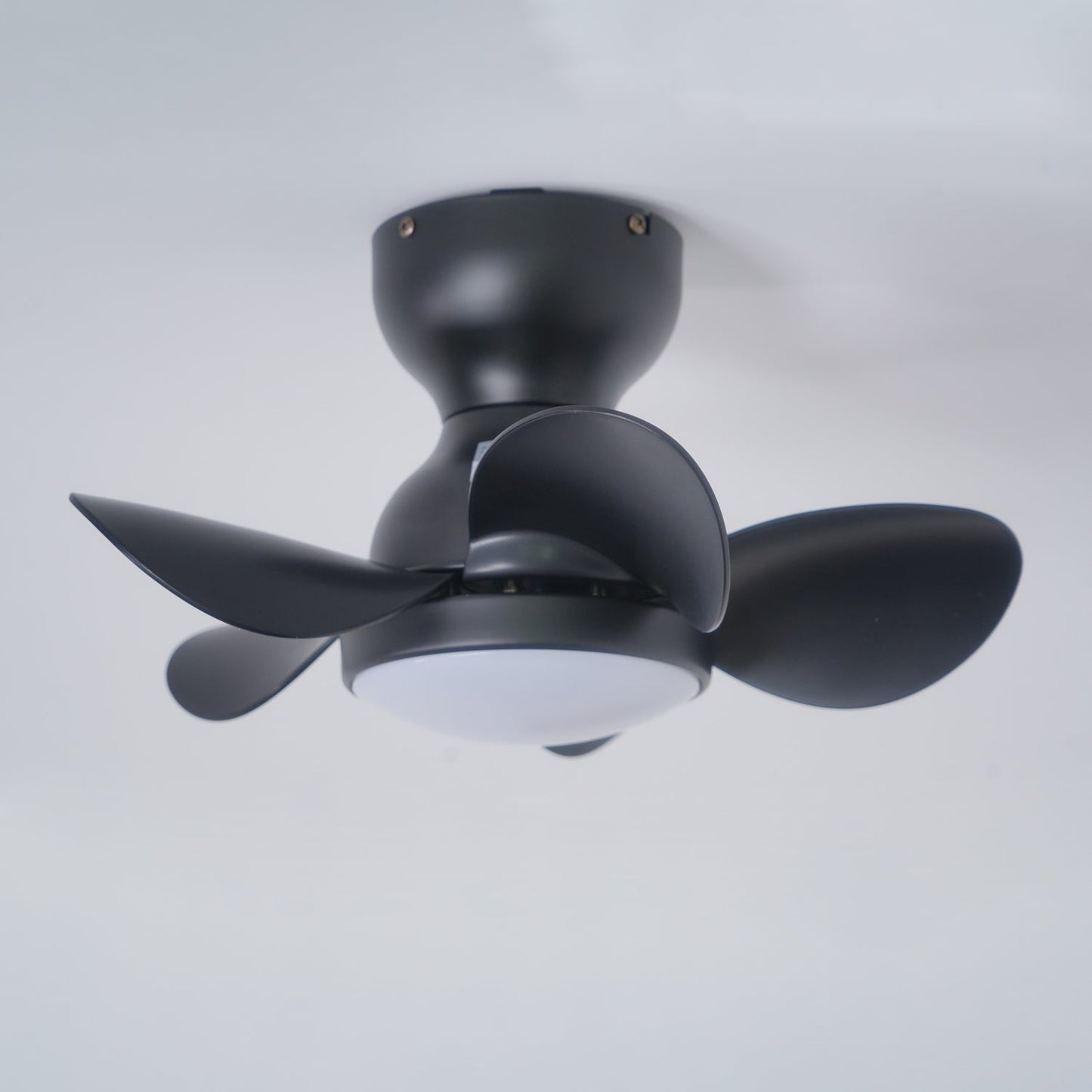 Trailblazer 18" Ceiling Fan Light with LED and Remote Control