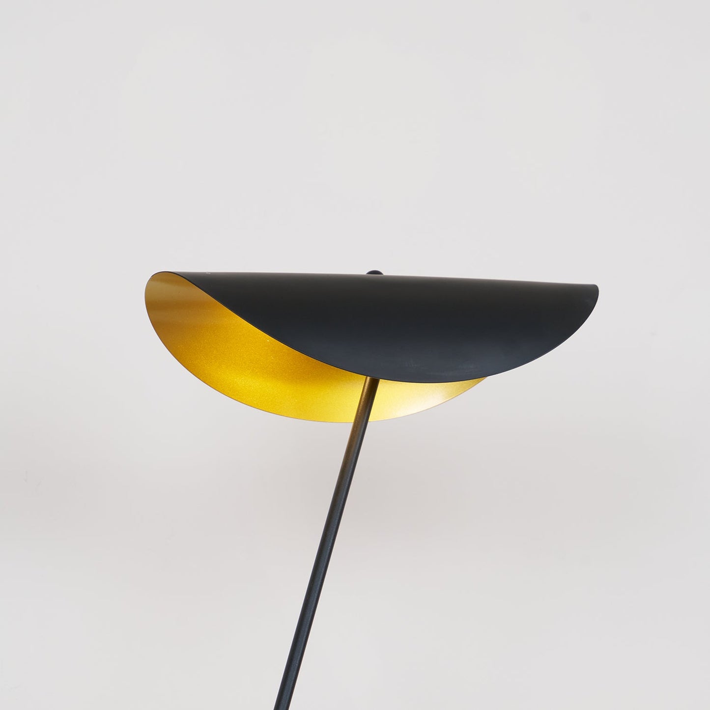YIU-X Floor Lamp with LED Light, Indoor, Black Design