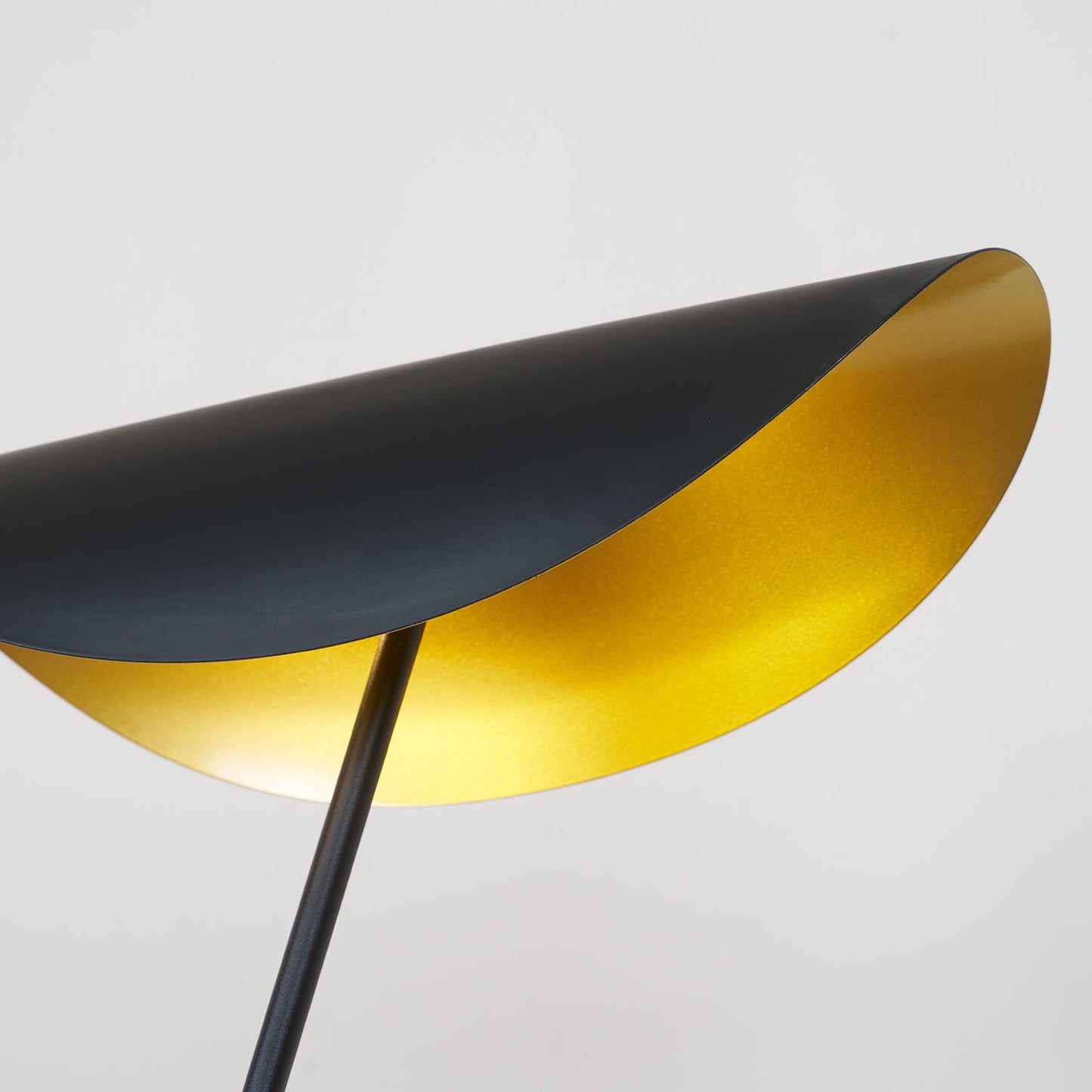 YIU-X Floor Lamp with LED Light, Indoor, Black Design