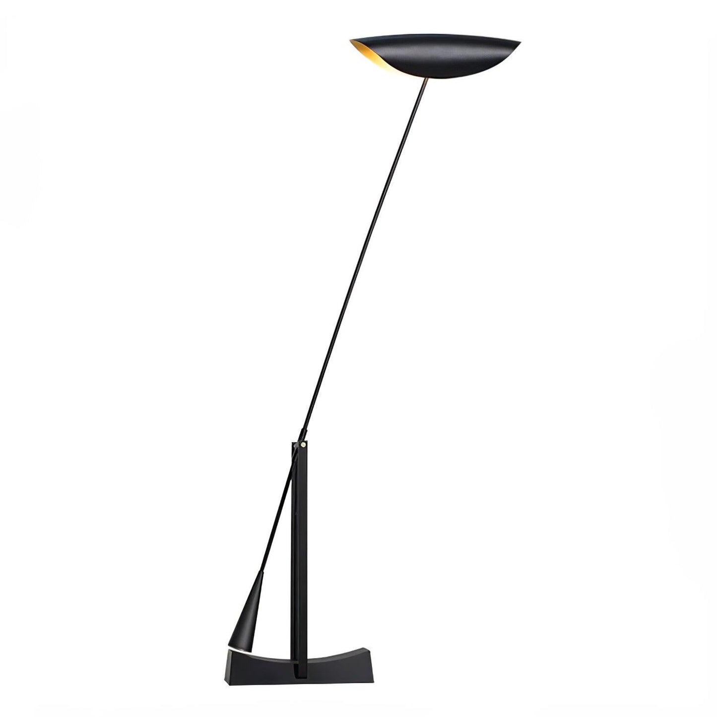YIU-X Floor Lamp with LED Light, Indoor, Black Design