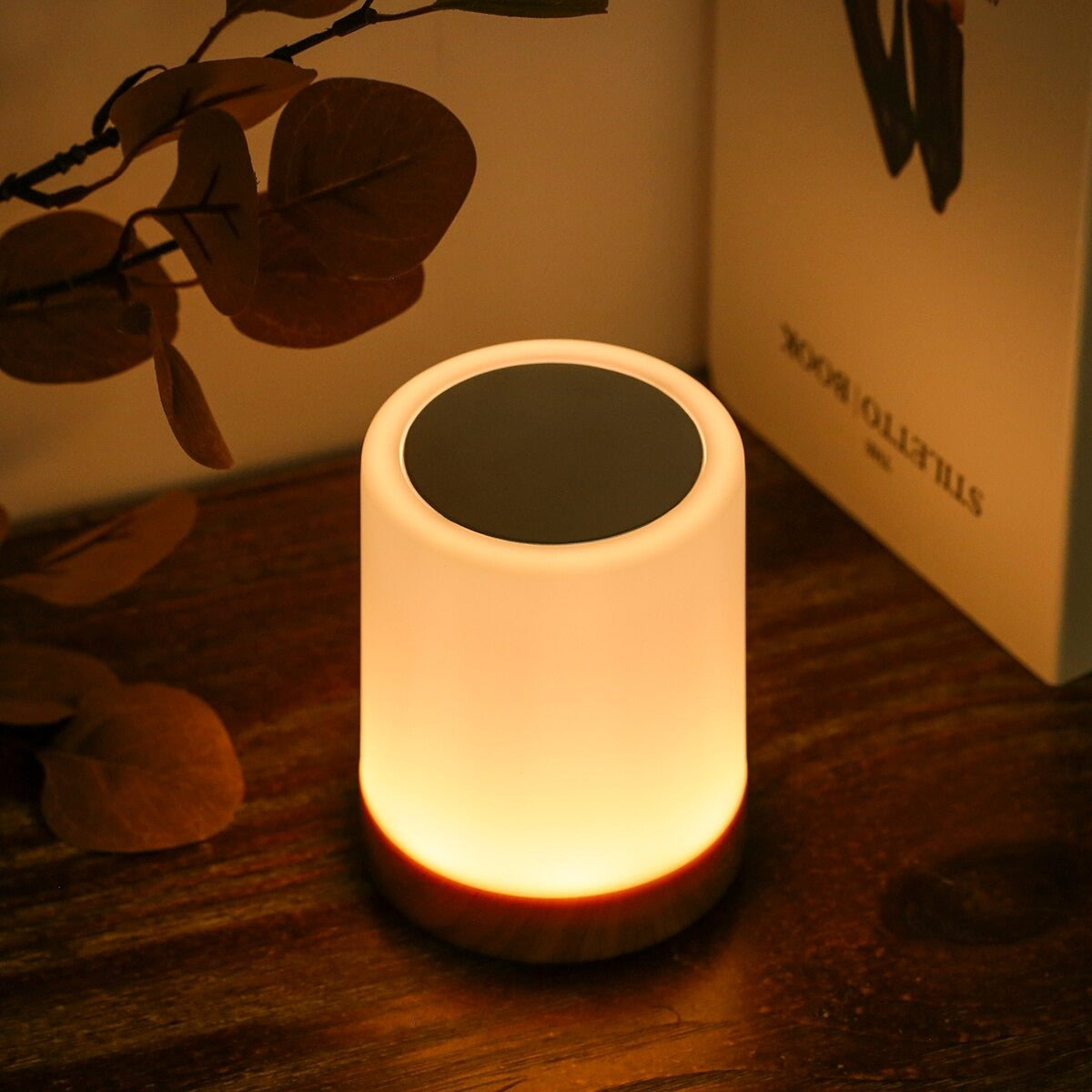 Wireless Touch-Sensitive Night Light with 6 Colors
