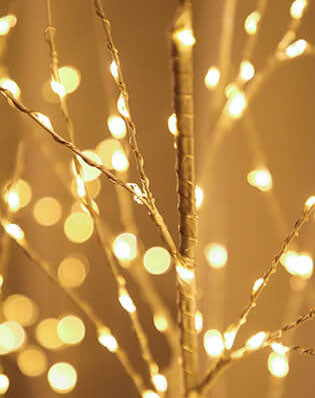 300 LED Copper Wire Fairy Lights USB Birch Tree Light