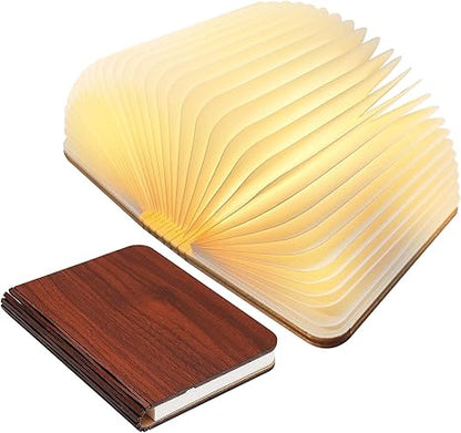 Frendorf Books Lamp LED Rechargeable Dimmable Light