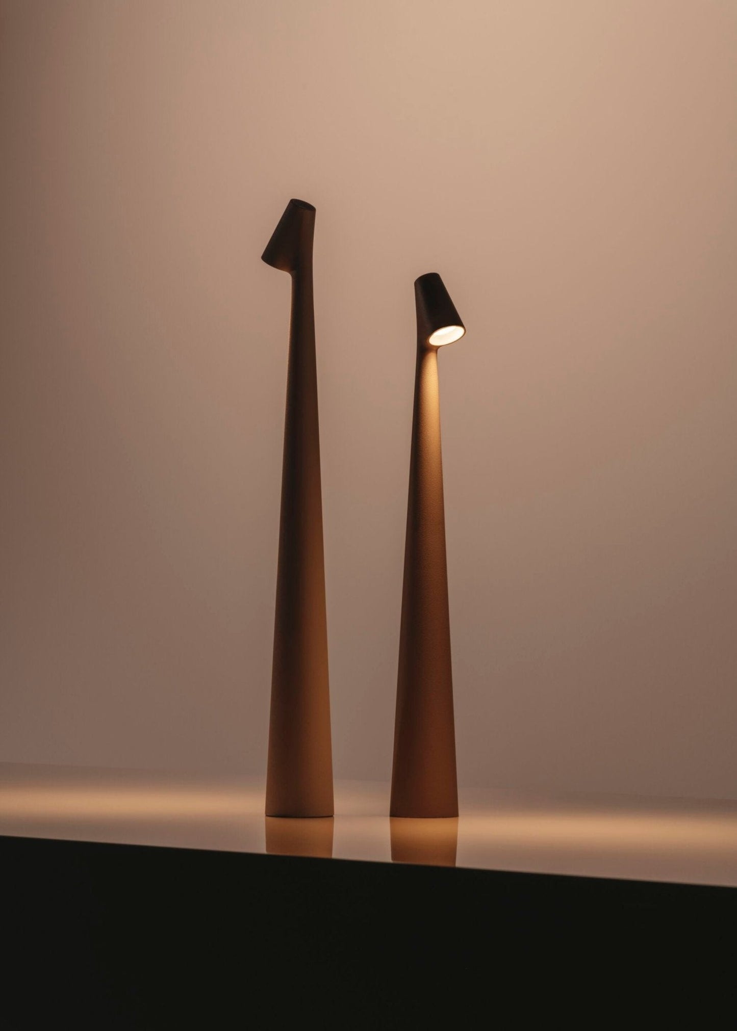 Africa Floor Lamp - LED Indoor Lighting, Slim Design