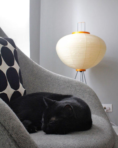 Rice Paper Floor Lamp - Indoor LED Lantern Design, Black