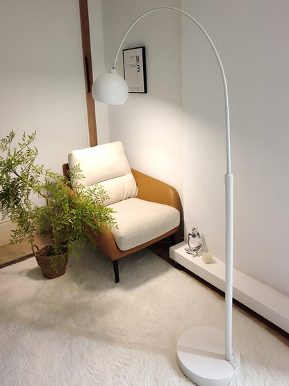 Angler Floor Lamp with Adjustable Head and LED Light