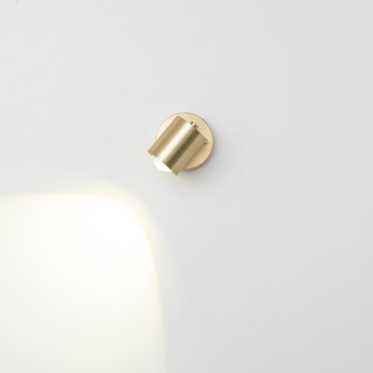 Brillora Wall Light LED Brass Sconce Adjustable Spotlight