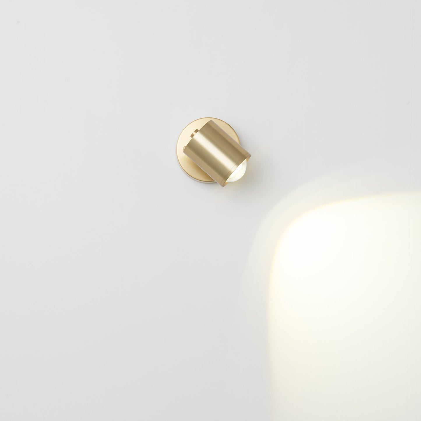 Brillora Wall Light LED Brass Sconce Adjustable Spotlight