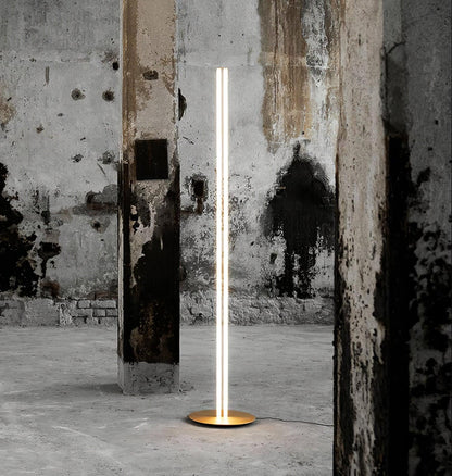 Coordinates Floor Lamp with LED, Modern Indoor Lighting