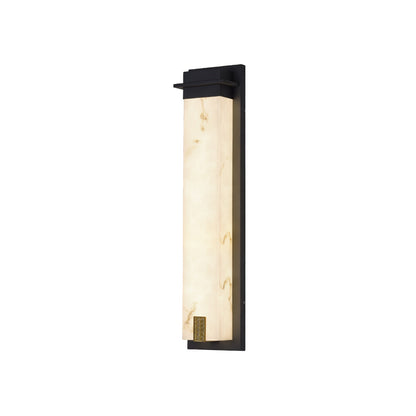 Delaney Outdoor Wall Light IP65 Waterproof LED Fixture