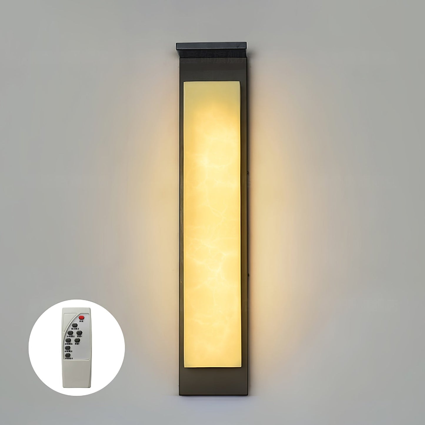 Delaney Outdoor Wall Light IP65 Waterproof LED Fixture