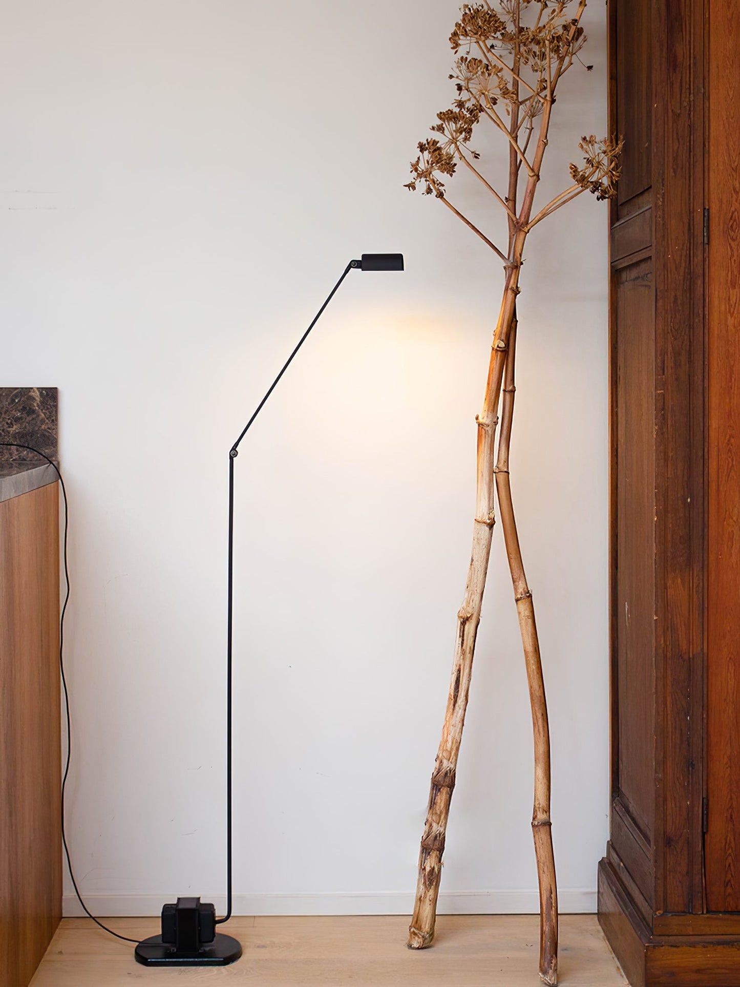 Dynamo Floor Lamp with LED Light and Adjustable Arms