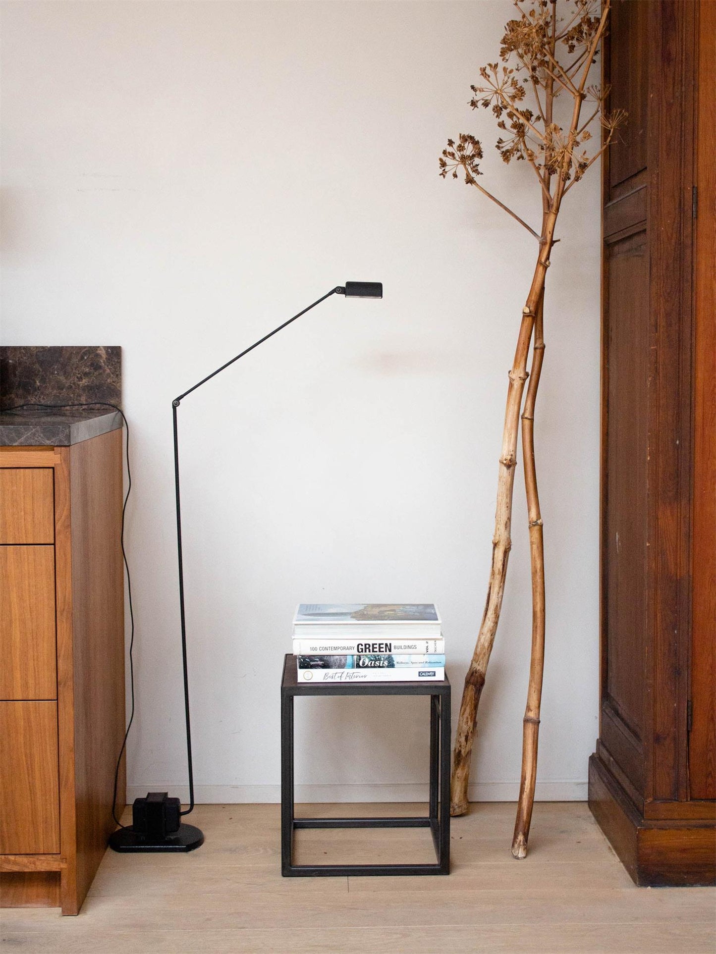 Dynamo Floor Lamp with LED Light and Adjustable Arms