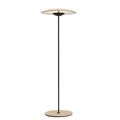 Innovative Directional Floor Lamp with Adjustable LED Light