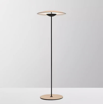 Innovative Directional Floor Lamp with Adjustable LED Light