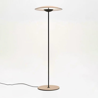 Innovative Directional Floor Lamp with Adjustable LED Light