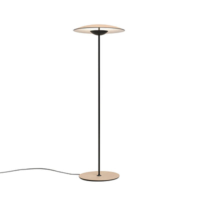 Innovative Directional Floor Lamp with Adjustable LED Light